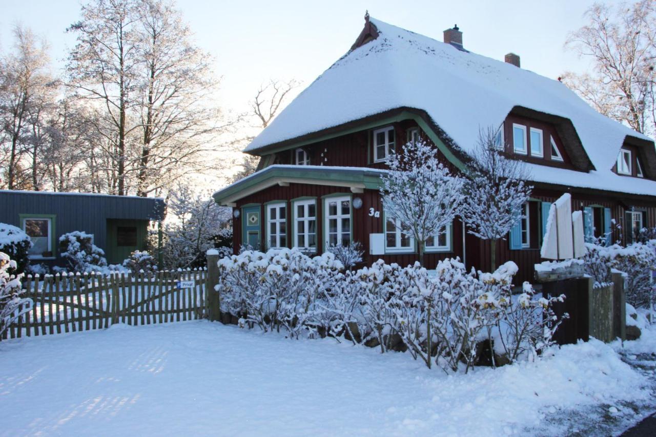 Villa Krabbenkate à Prerow Extérieur photo